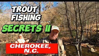 Trout Fishing Cherokee, N.C. The second episode of trout secrets.