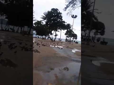 Shareiz (phuket beach thailand)