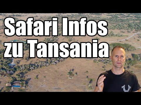 🇹🇿 Alle Informationen rund um die perfekte Safari in Tansania für Einsteiger und Interessierte