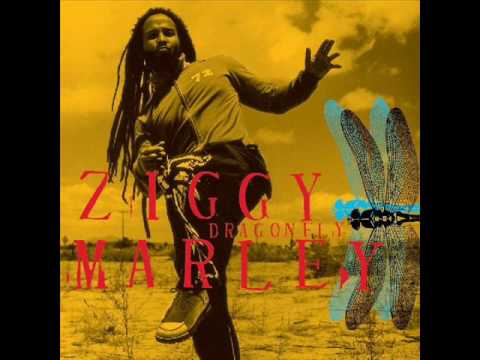 Ziggy Marley - Shalom Salaam