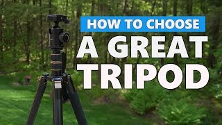 Good, Inexpensive Tripod for for Vlogging or Photography... | a GWNNSH Review