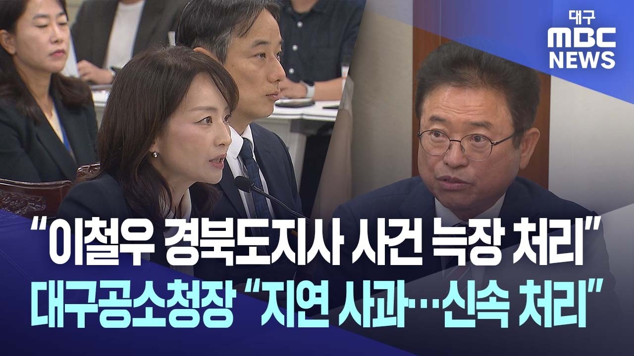 "이철우 경북지사 수사 왜 뭉개나"··· 국감장서 뭇매 맞은 대구공소청