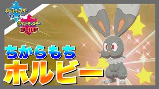 ホルビー ポケットモンスター バッフロン ブイゼル ニャヒート ホルビー ポケットモンスター バッフロン ブイゼル ニャヒート