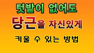 [텃밭농부. 1,387]  텃밭이 없어도 당근을 키우는 손쉬운 방법 소개. #당근재배