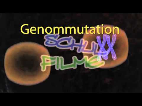 Schulfilme im Netz: DVD / Biologie: Mutation - Entstehung und Auswirkung
