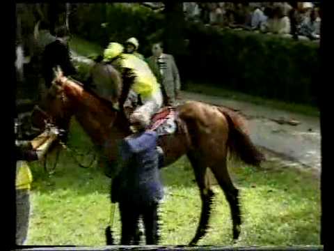 Acatenango Gestüt Fährhof Hertie Preis München 1985