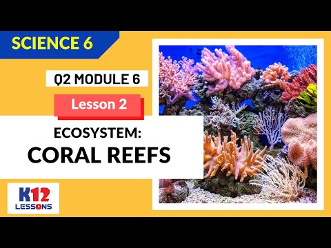 Science 6 Quarter 2 Module 6 Lesson 2 - Ecosystem: Coral Reefs