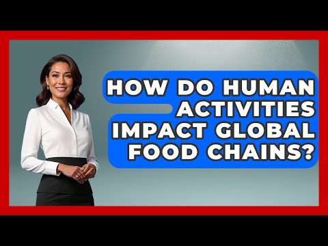 How Do Human Activities Impact Global Food Chains? - Explaining Ecology