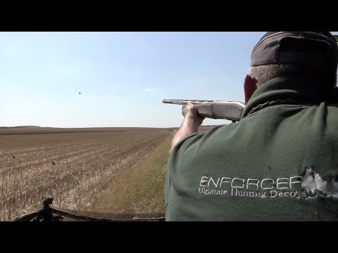The Shooting Show – back out pigeon shooting with Geoff Garrod PLUS news from The Game Fair 2019