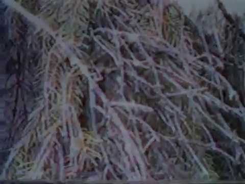 thelosthour by Xisrupt(Official Video)