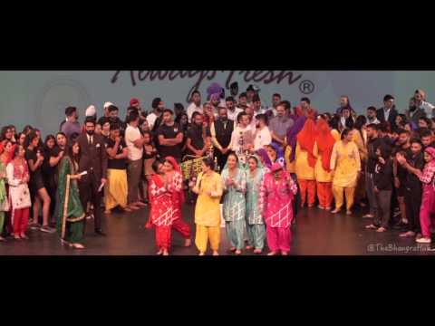 Harbour City Bhangra 2016: Awards Presentation & Boli Wars