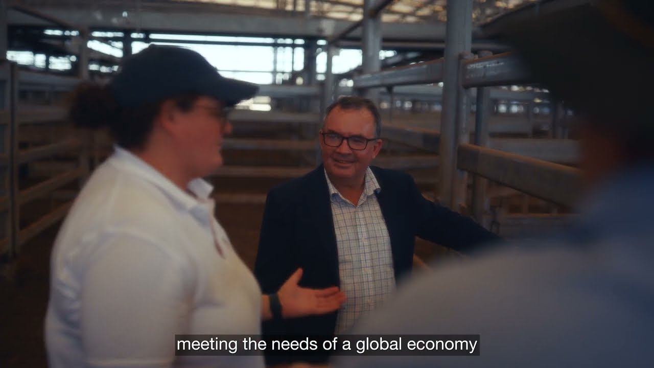 Dalby Regional Saleyards 