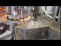 Bausch Ströbel AFV 2005 Ampoule Filling Machine 2 2