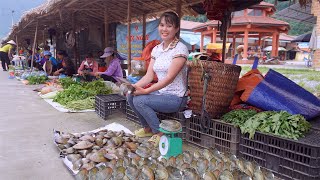 Harvest oysters, mussels - go to the market to sell | Em Tên Toan