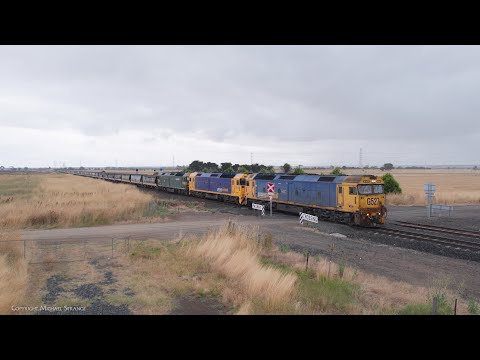 7734V Pacific National Standard Gauge Grain Train (1/2/2023) - PoathTV Australian Railways