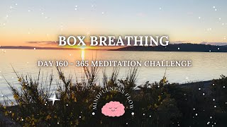 365 Days Meditation Challenge | Day 160 -  Box Breathing for Calm & Focus