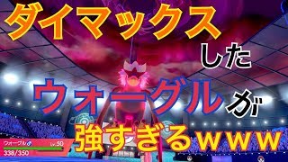 ウォーグル ポケットモンスター ダルマッカ ズルッグ ビッパ ウォーグル ポケットモンスター ダルマッカ ズルッグ ビッパ