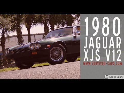 1980 Jaguar XJS (CC-1379662) for sale in Palmetto, Florida