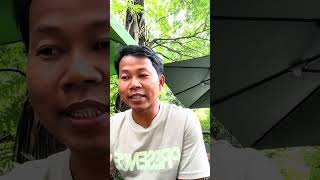វគ្គអាជីវកម្ម Page for Business សម្រាប់ឆ្នាំ 2026 តទៅ