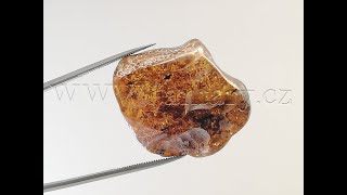 Okno do baltského jantaru PO-67