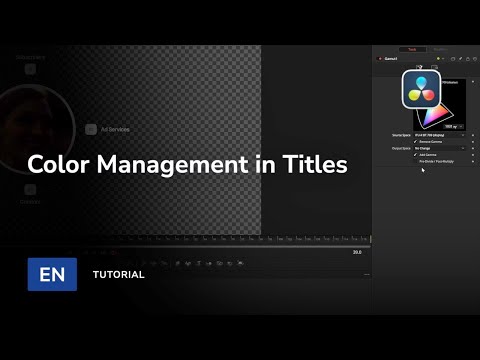 Color Management in DVR Titles — MotionVFX Support