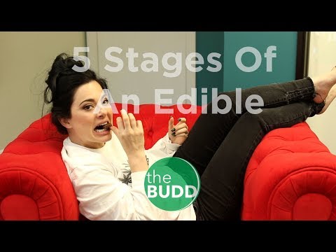 5 Stages of An Edible