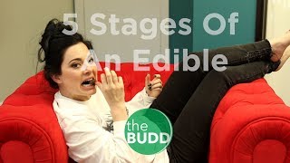 5 Stages of An Edible