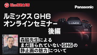 LUMIX GH6�I�����C���Z�~�i�[���
