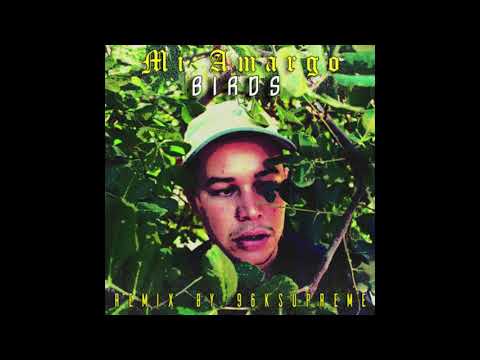 Mi Amargo - Birds  (Remix Prod by. 96kSupreme)
