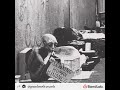 Homeless A F Paen Eveless