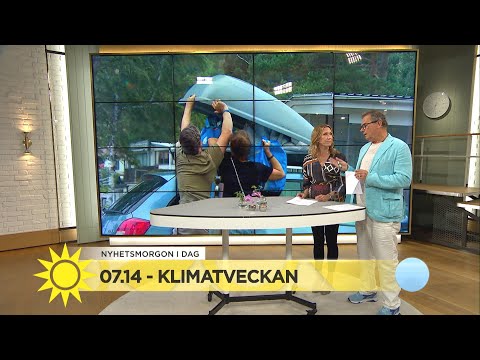 Jenny Alversjö: "Nu fick jag klimatångest"  - Nyhetsmorgon (TV4)