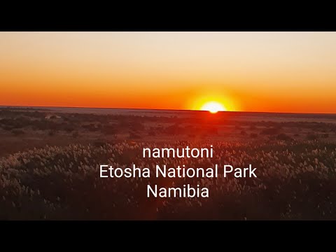 Namutoni Camp. The Etosha National Park in Namibia part 1 #familytrip#safari#namutonicamp