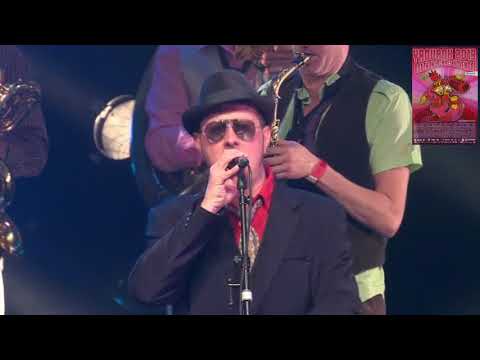 ALAMBIG ELECTRIK - Lambig, girls and ducks // Yaouank 2013