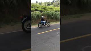 Download lagu story wa cewe bawa rx king#rx king#gagal fokus mp3