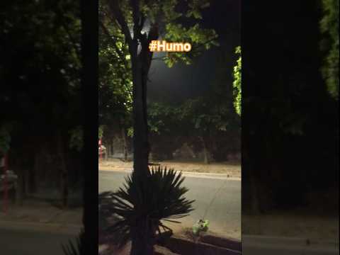 Humo en Las Heras, Mendoza 22/10/2025 20:37 hs