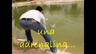 preview picture of video 'Que es la pesca'