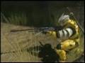 Halo 3 I Love The Whole World