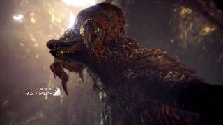 【MHW】マムタロトを操虫棍で狩ってみた
