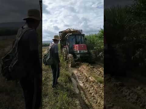 Máy cày Yanmar F80 D chở 11 tấn đường lún quá nhẹ nhàng
