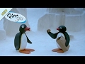 Pingu S Prank Pingu Official Channel