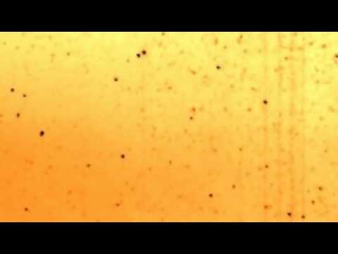 Comet Elenin 09/18 - 09/22. NASA Stereo B