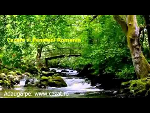 Cazare Bisoca, Buzau - Cazat.ro