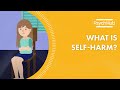 Understanding Non Suicidal Self Injury