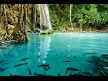 Pesona Air Terjun Dan Sungai Penuh Ikan Dan Suara Air Terjun Yang Menyejukan Hati