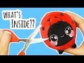 Cutting Open a Squeezamal | What's Inside?