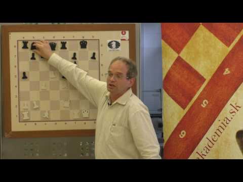 GM Ľubomír Ftáčnik - GM Martin Mrva 1:0, SVK Extraliga 2016 |Bratislavská šachová akadémia|