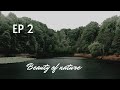 The Endless Beauty Of Nature Le Cultiver