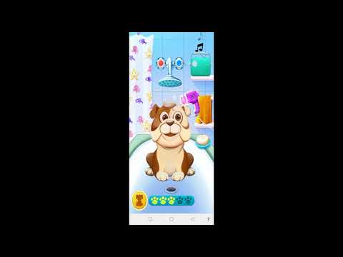 Animal Daycare