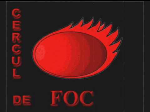 SteveyanCDF feat Nelegitim -In direct.wmv