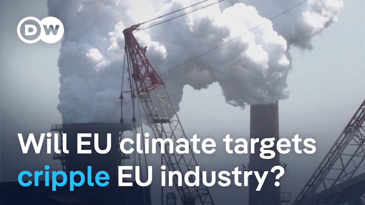 EU struggles to agree on climate agenda ahead of COP30 summit | DW News